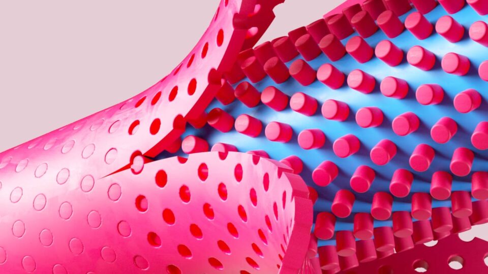 FIT_FINAL_Serré Bannière_1